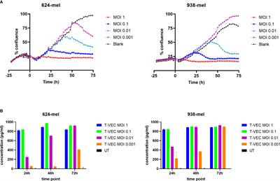 Unraveling the Effects of a Talimogene Laherparepvec (T-VEC)-Induced Tumor Oncolysate on Myeloid Dendritic Cells